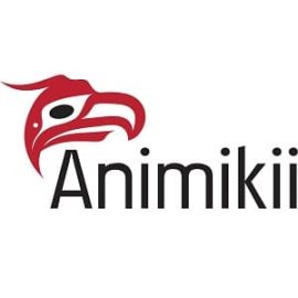 Animikii-logo