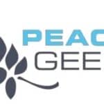 PeaceGeeks Society